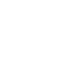 预测